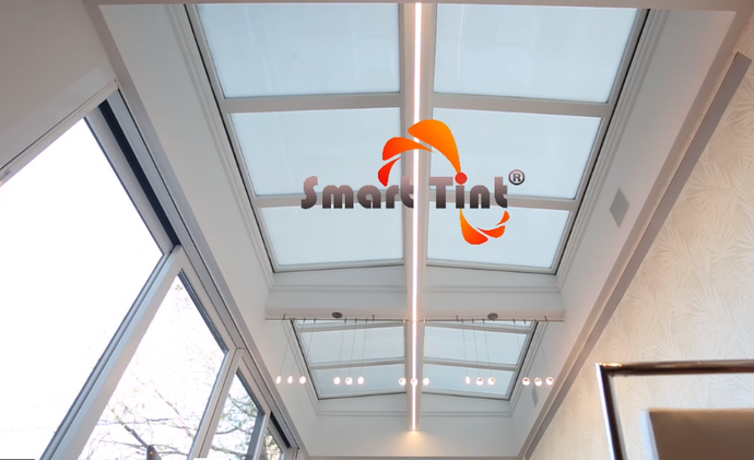 Smart Tint® Sky Lights